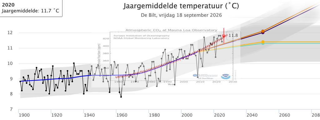 Trendlijnen